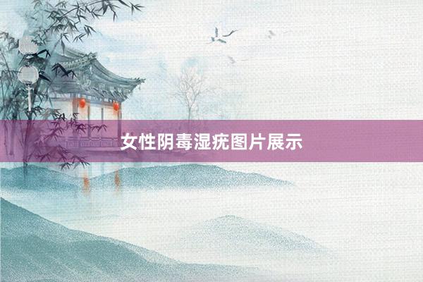 女性阴毒湿疣图片展示