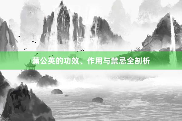 蒲公英的功效、作用与禁忌全剖析