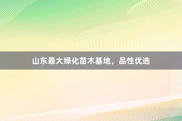 山东最大绿化苗木基地，品性优选