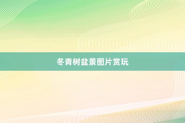 冬青树盆景图片赏玩